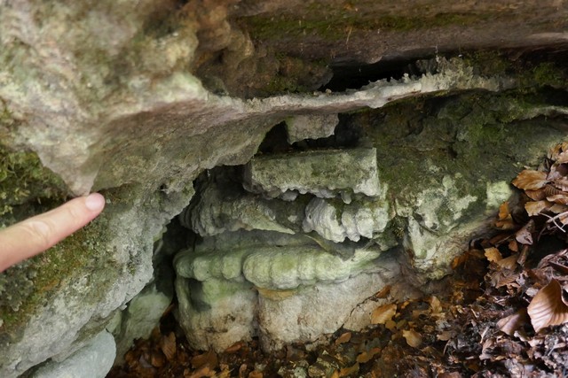 Foto: Verwitterte Sinterformen in der Bärenlacken-Schachtruine (1815/425)